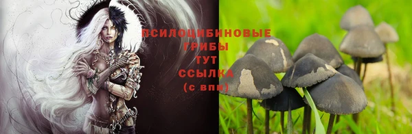 spice Дмитриев