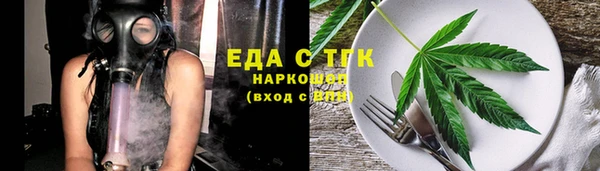spice Дмитриев