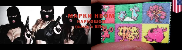 spice Дмитриев