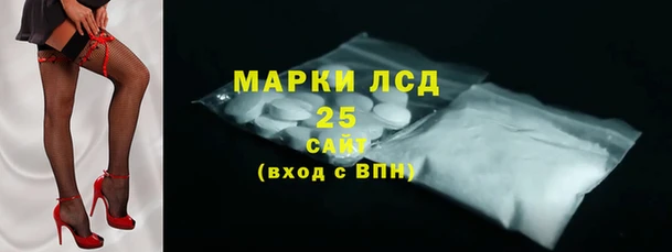 шишки Гусев