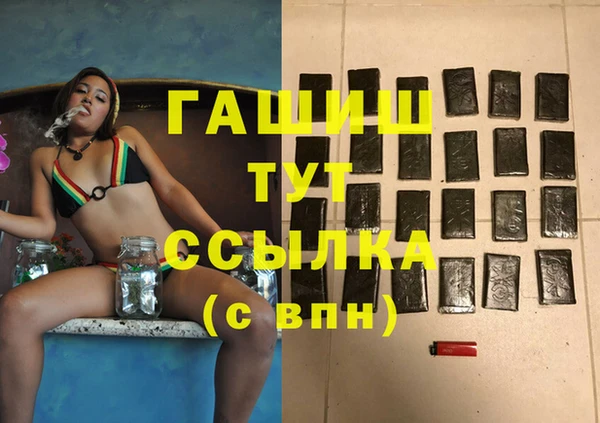 spice Дмитриев