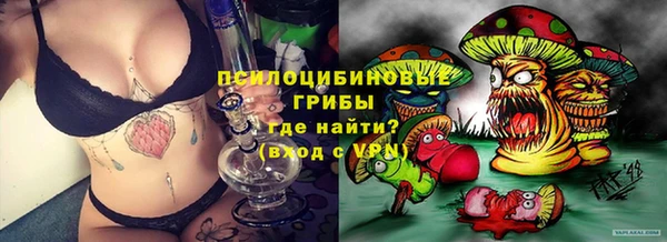 spice Дмитриев