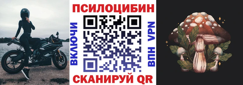 Купить  Сасово  Галлюциногенные грибы GOLDEN TEACHER 